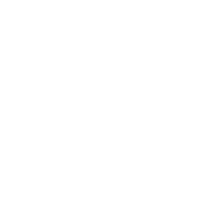 MAS Institute